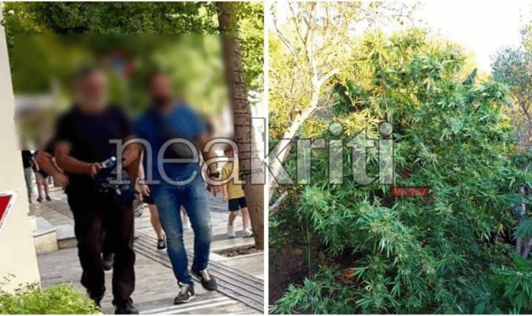 Φτωχός, άνεργος και πατέρας 5 παιδιών: Στα Δικαστήρια ο 57χρονος που συνελήφθη για τη φυτεία στο Μαλεβίζι 1 image 6