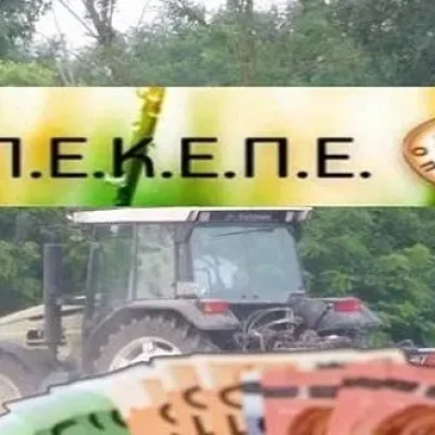 opekepe e1751375149545